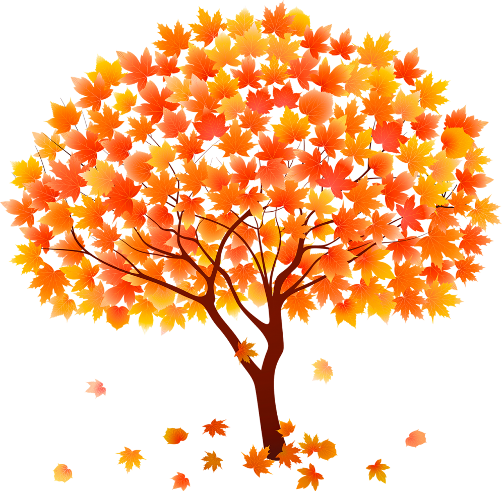 Осеннее дерево клен