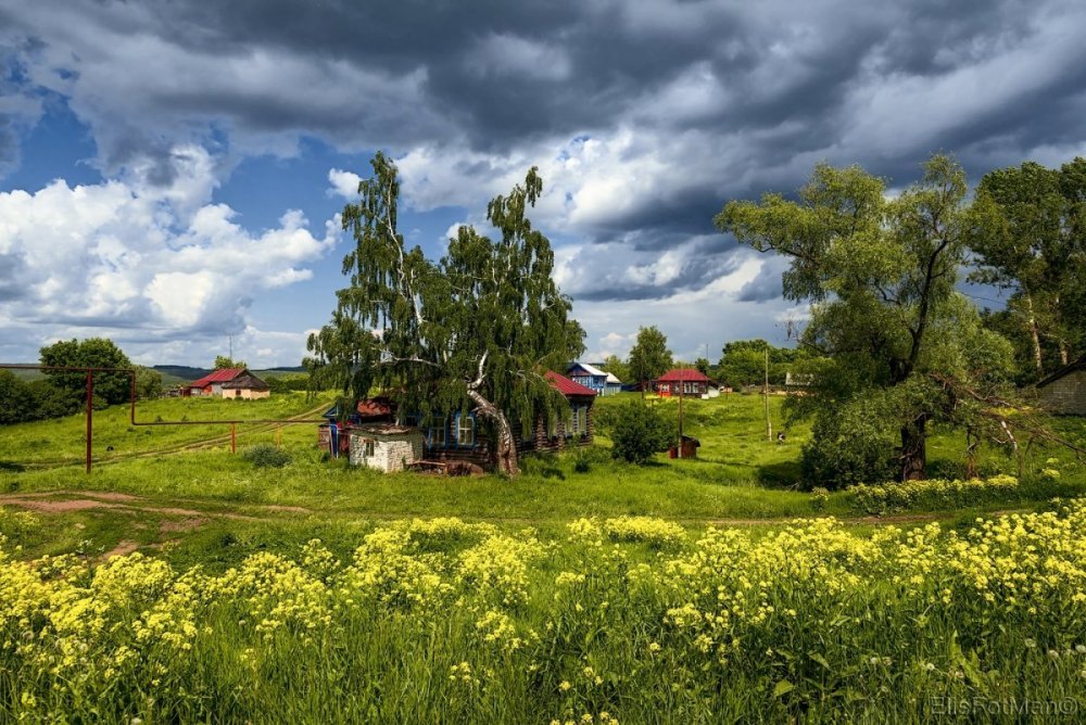 Деревня Мегра Вологодская пейзаж