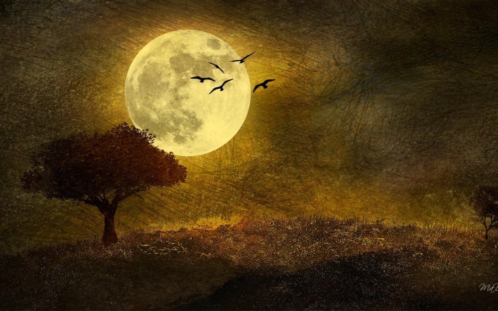 Лунная ночь осень