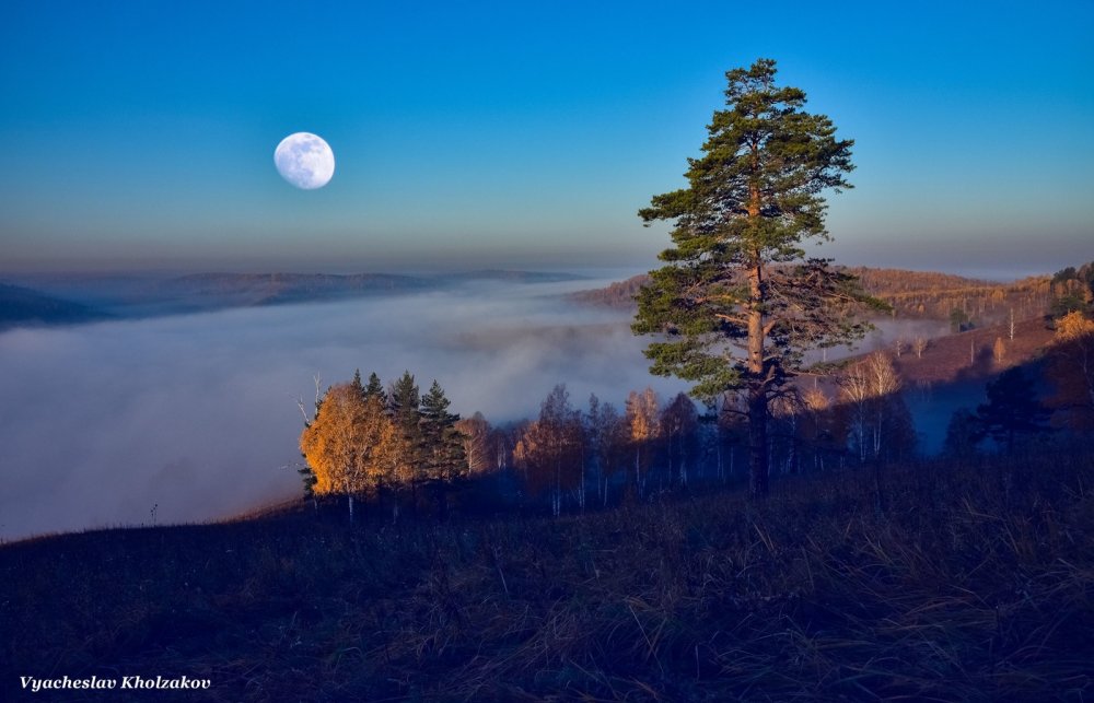 Луна над осенним лесом