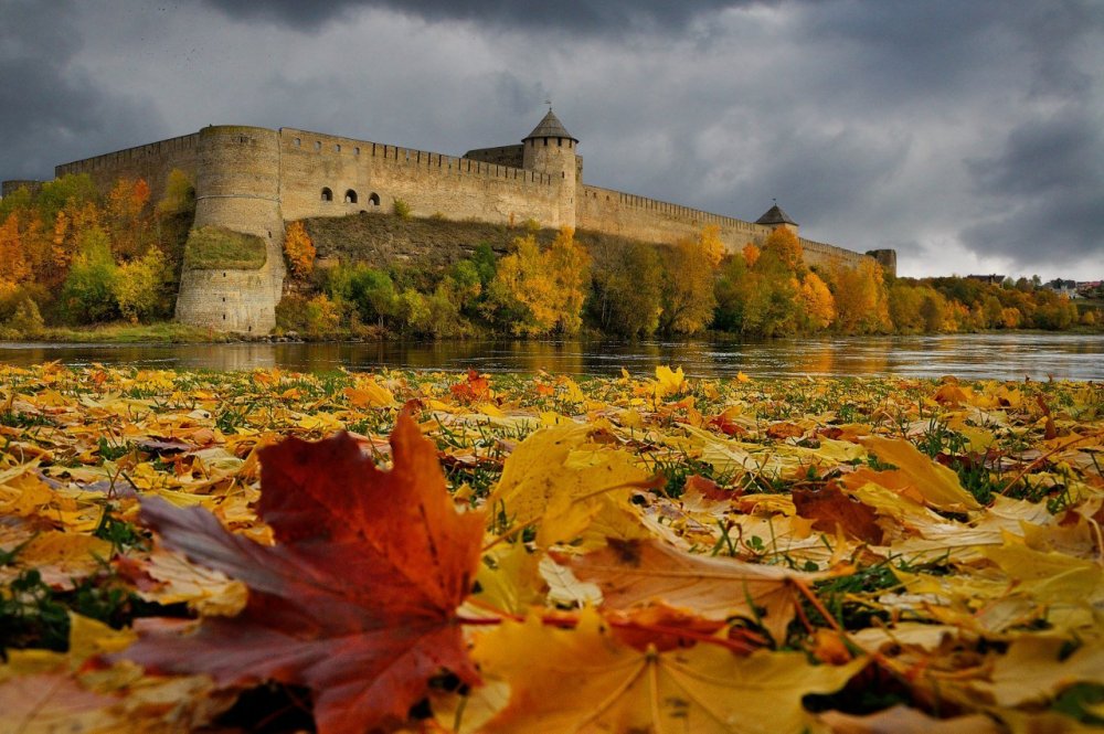 Ивангородская крепость осень