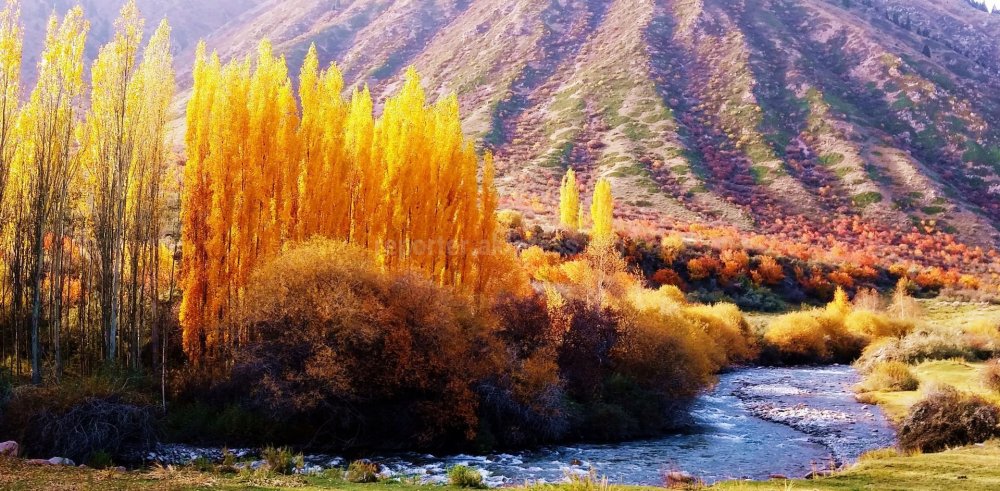 Осень Бишкек Кыргызстане