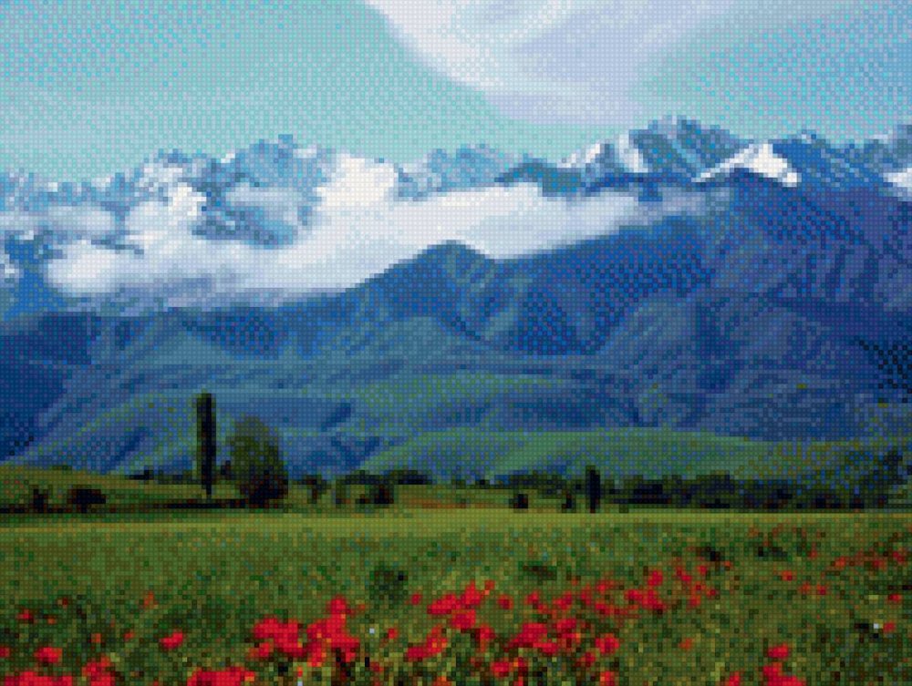 Киргизия горный Мак