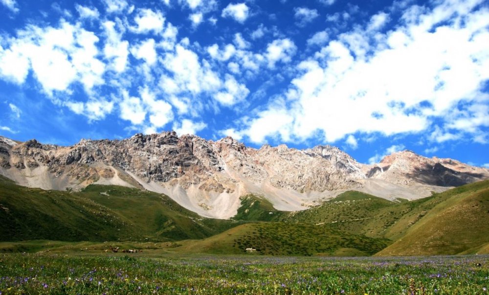 Тянь-Шань Долина Киргизия