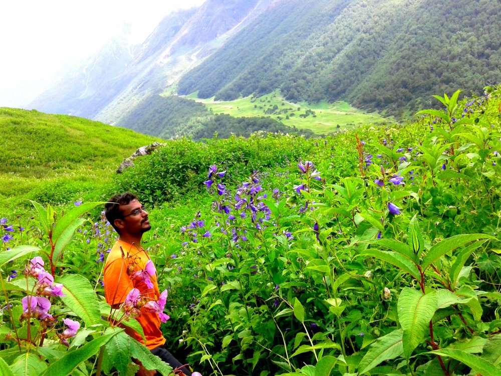 Долина цветов, Уттаракханд, Индия
