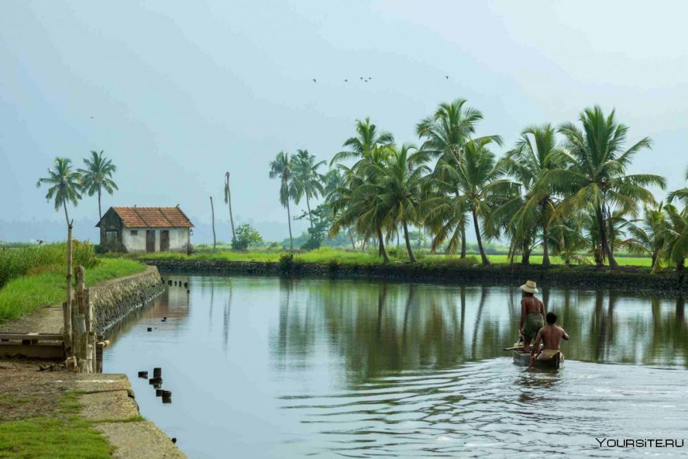 Заводи Кералы (Kerala Backwaters)
