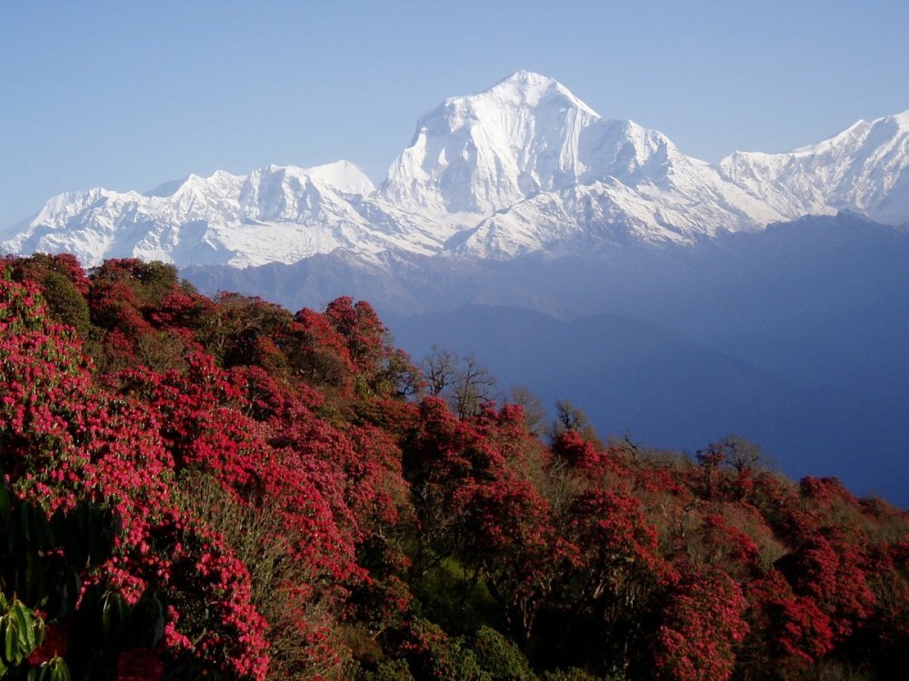 Гималаи Индия