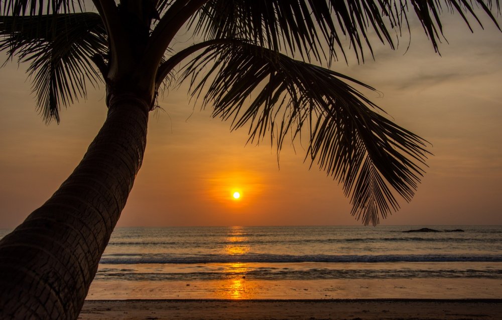 Море пальмы закат