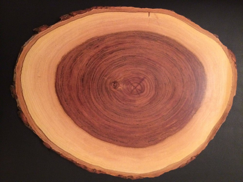 Тиковое дерево древесина