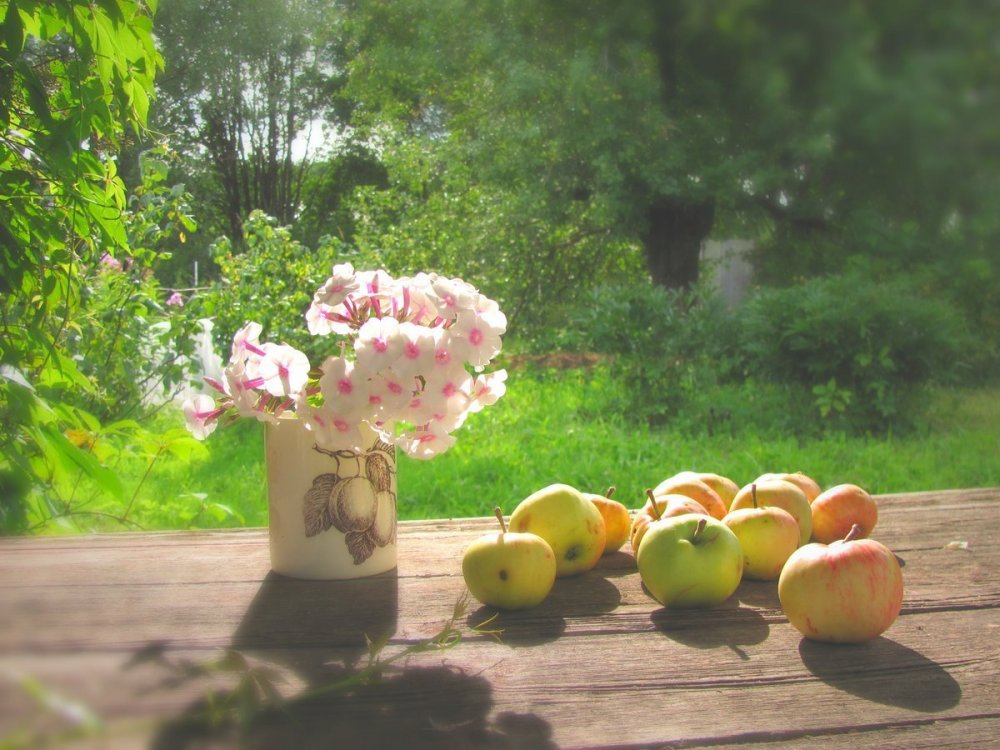 Стол в яблоневом саду