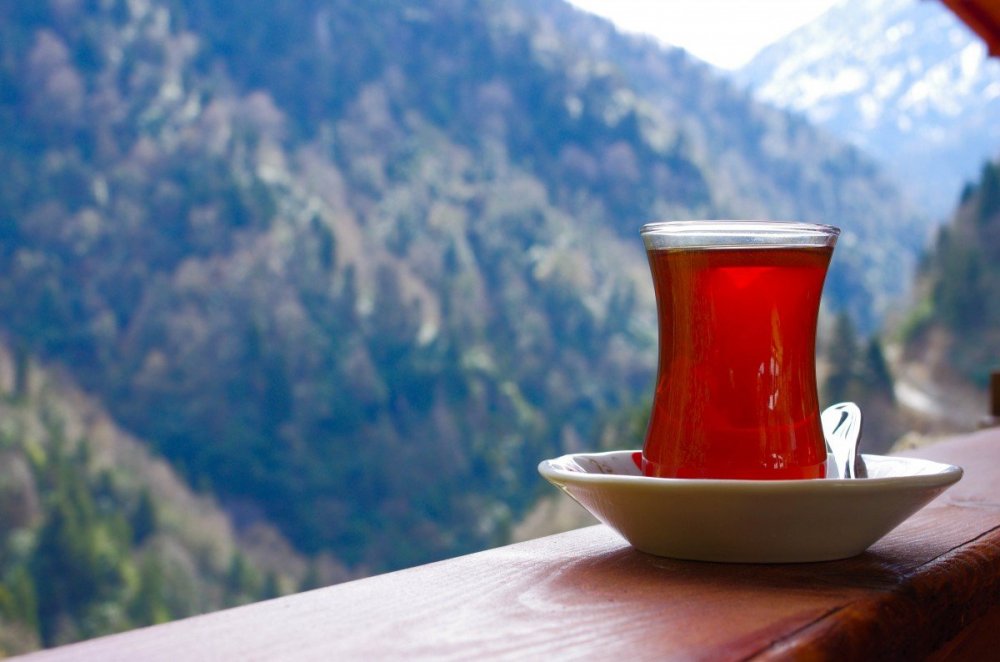 Чай на фоне гор