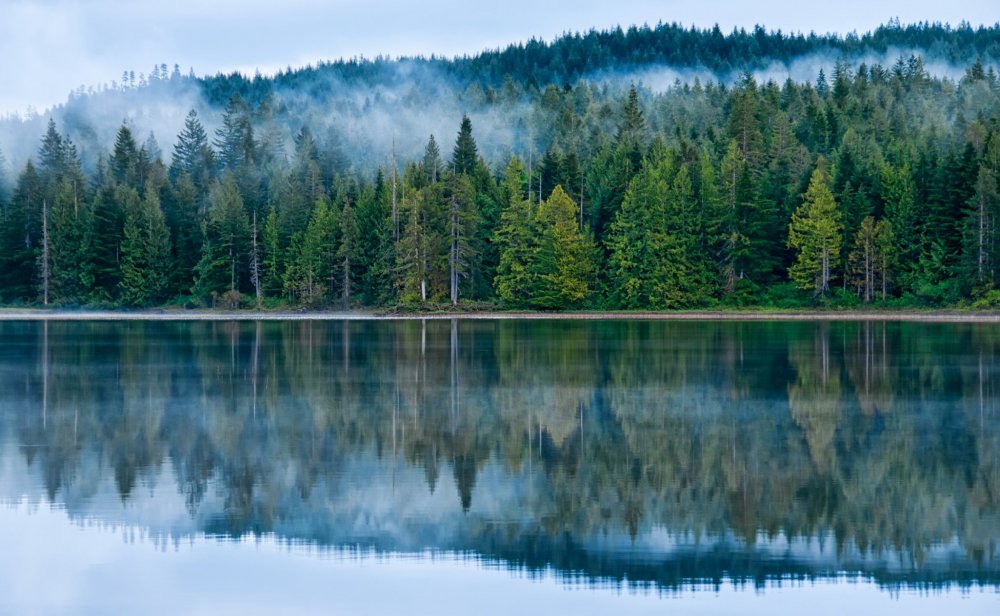 Лесное озеро (Forest Lake)