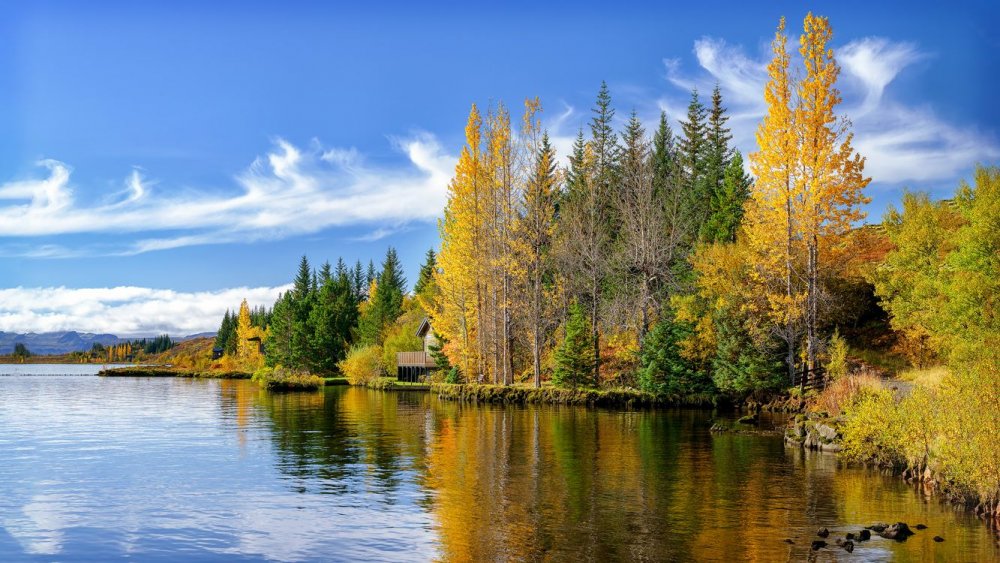 Золотая осень река