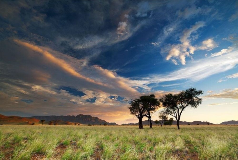 Намибия Саванна