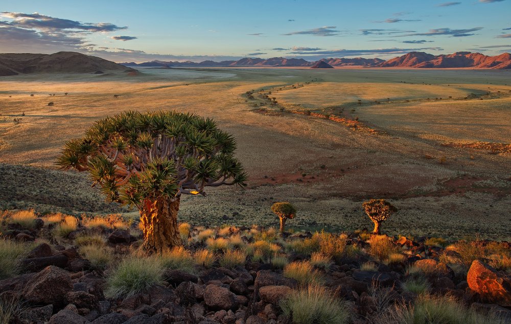 Пустыня Намиб ЮАР