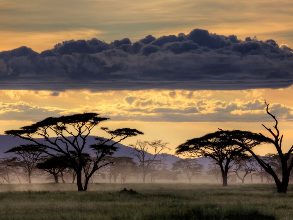 Национальный парк Серенгети, Танзания, Африка