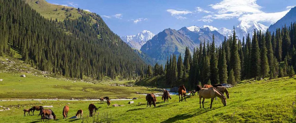 Природа Кыргызстана джайлоо панорамный