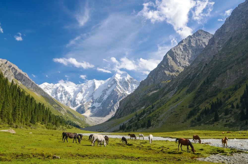 Горы Кыргызстана Тянь Шань ала ТОО