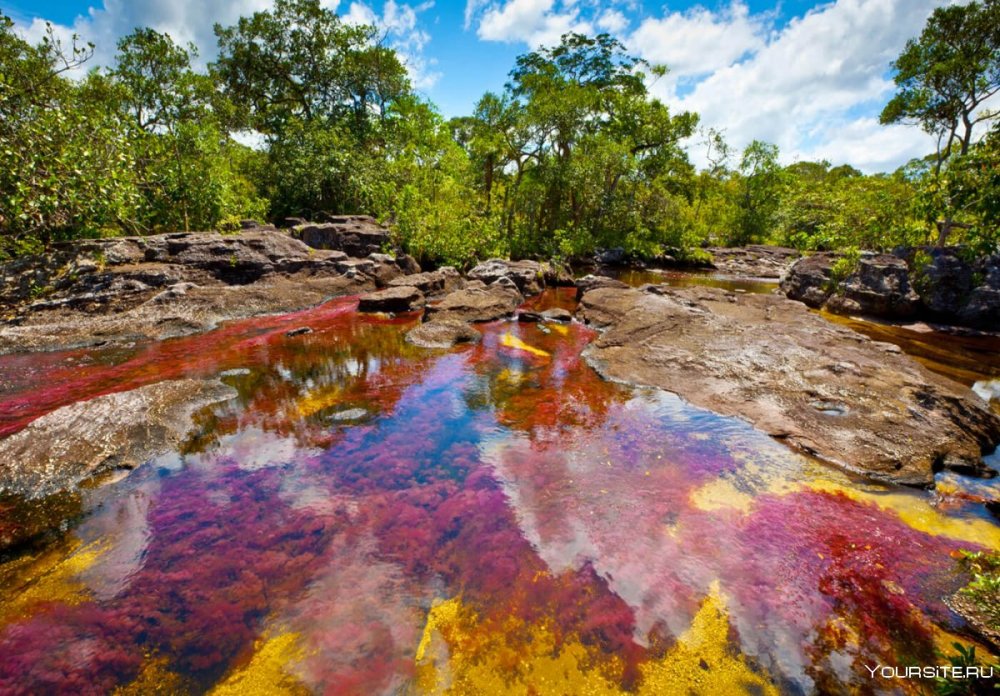 Разноцветная река Каньо-Кристалес (Колумбия)