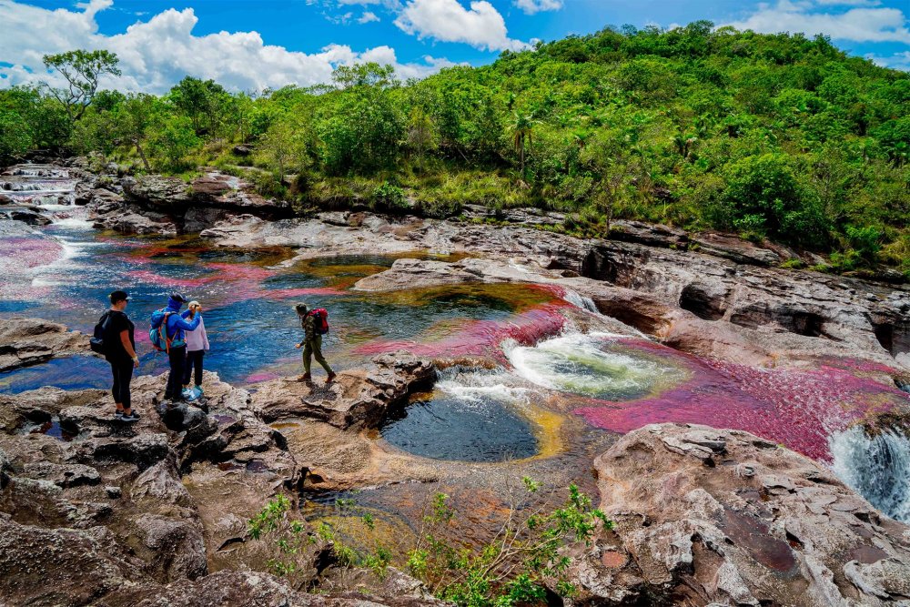 Каньо Кристалес река пяти цветов в Колумбии