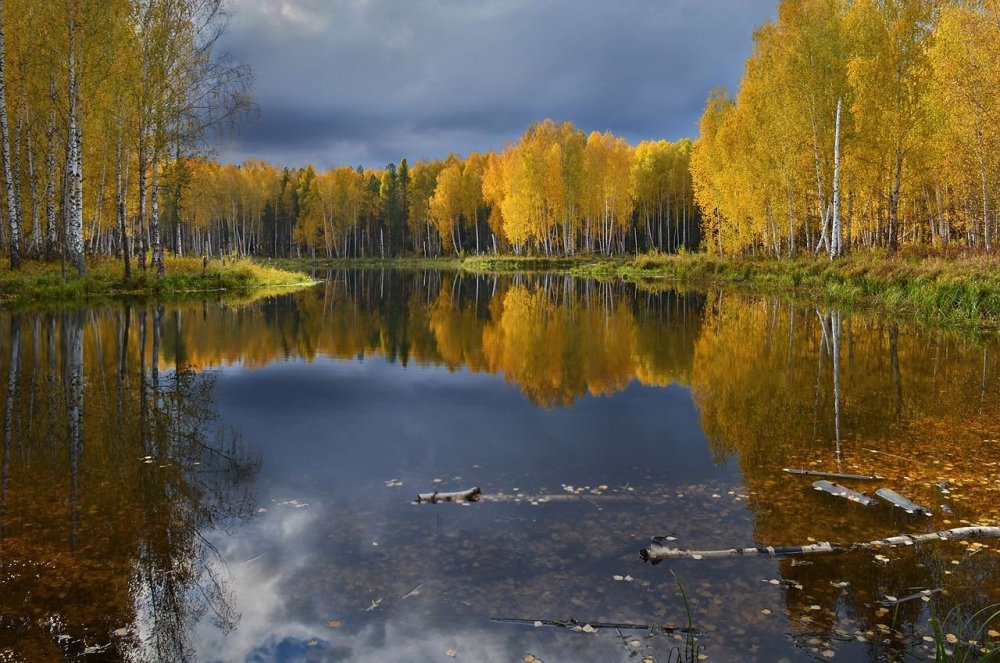 Озеро Костромская область осенью