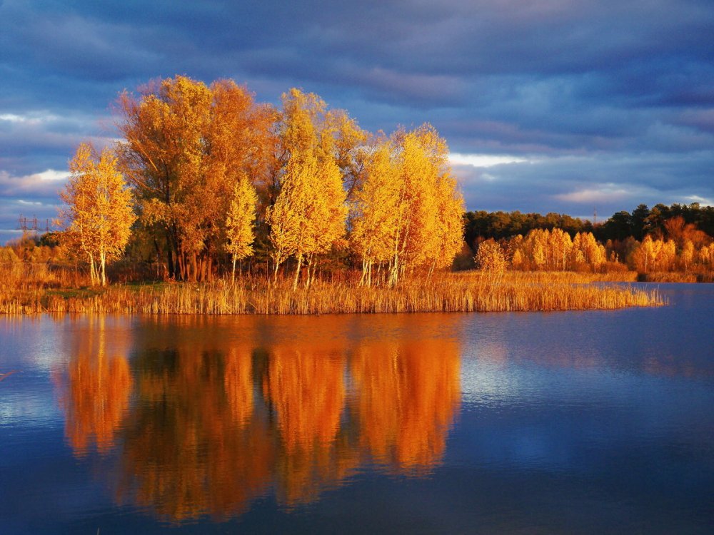 Волга Золотая осень Тверская область