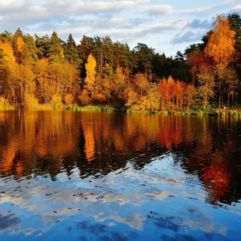 Кратово озеро осенью