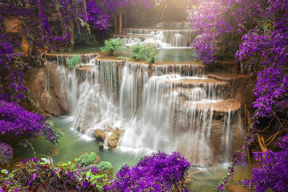 Природа водопад цветы