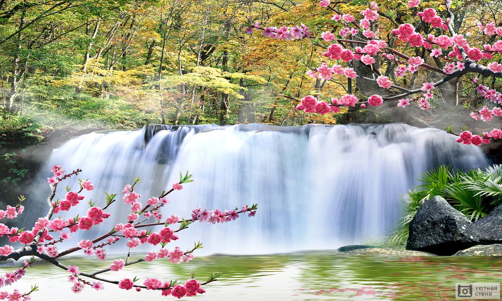 Красивые водопады с сакурой