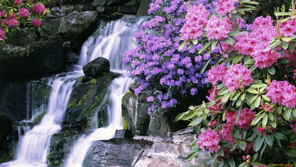 Сент-Люсия водопад в Ботаническом саду