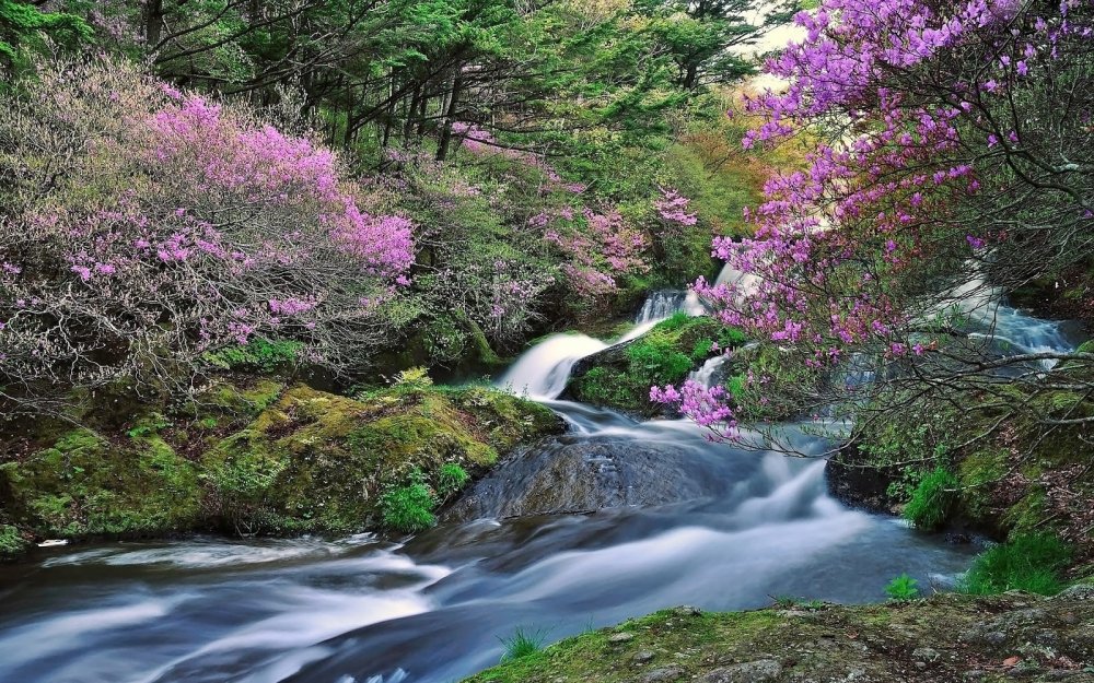 Водопад горы цветы