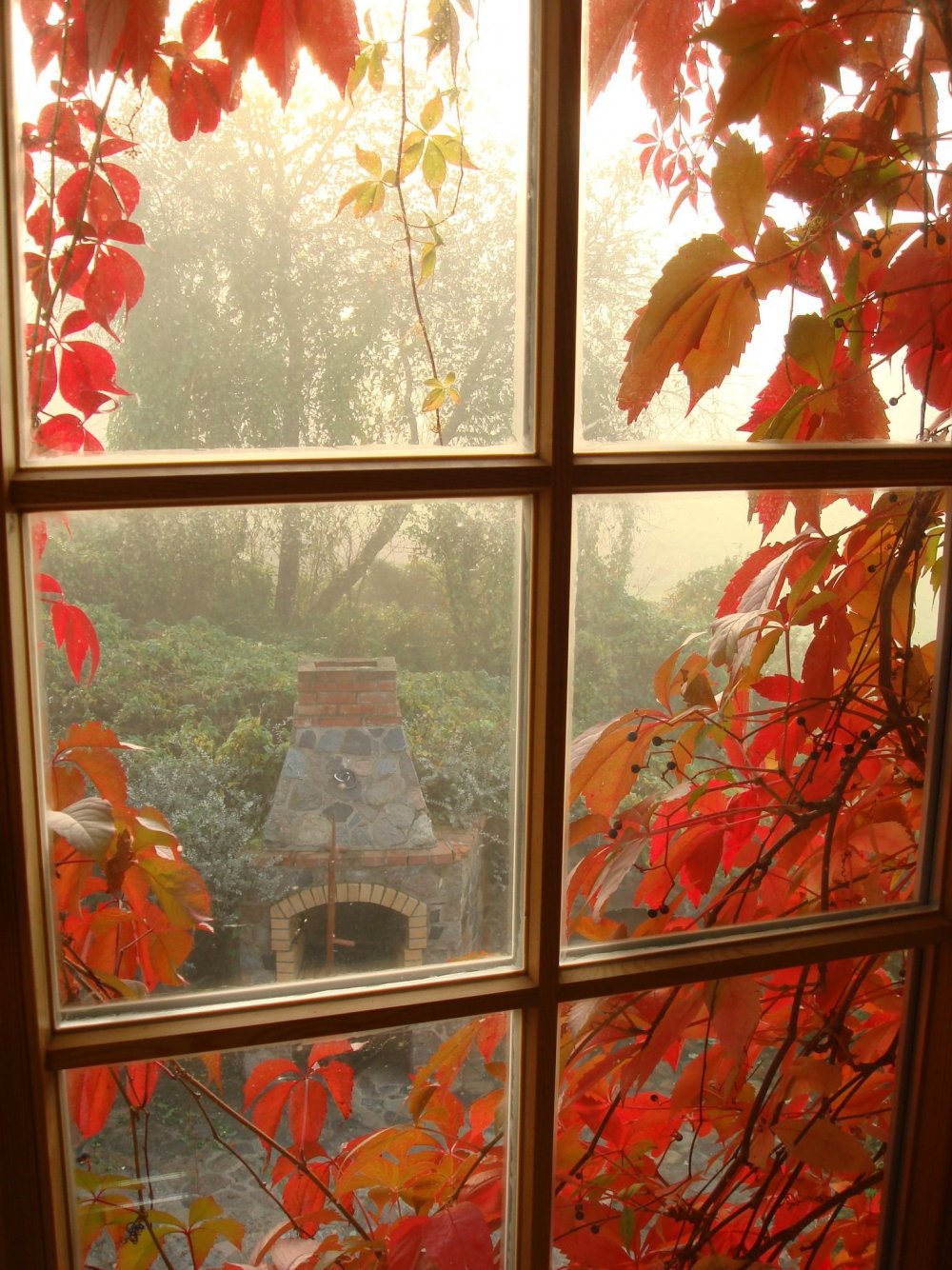 Осень из окна