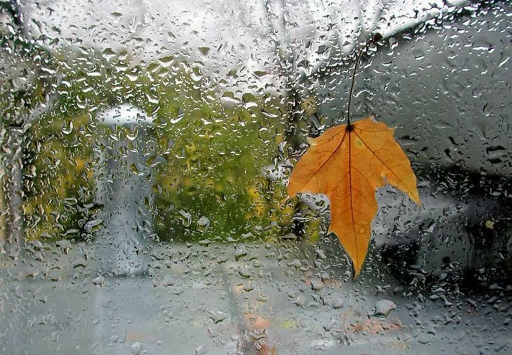 Дождливое осеннее окно