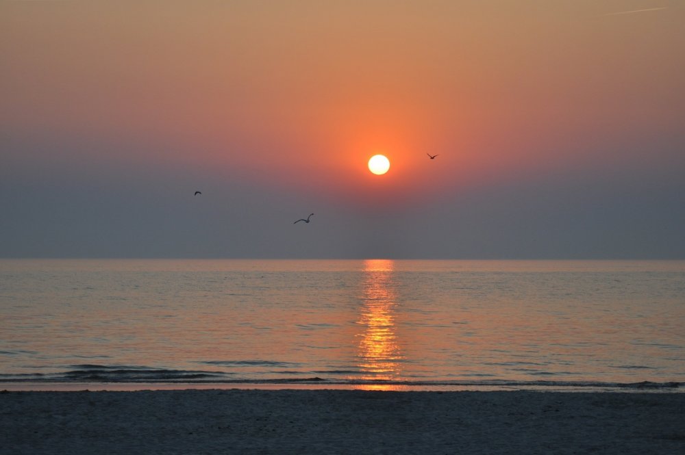 Балтийское море Восход солнца