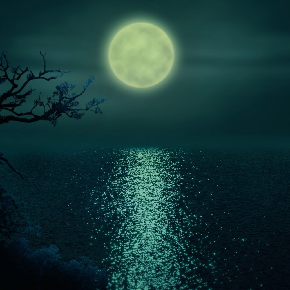 Ночной пейзаж с луной
