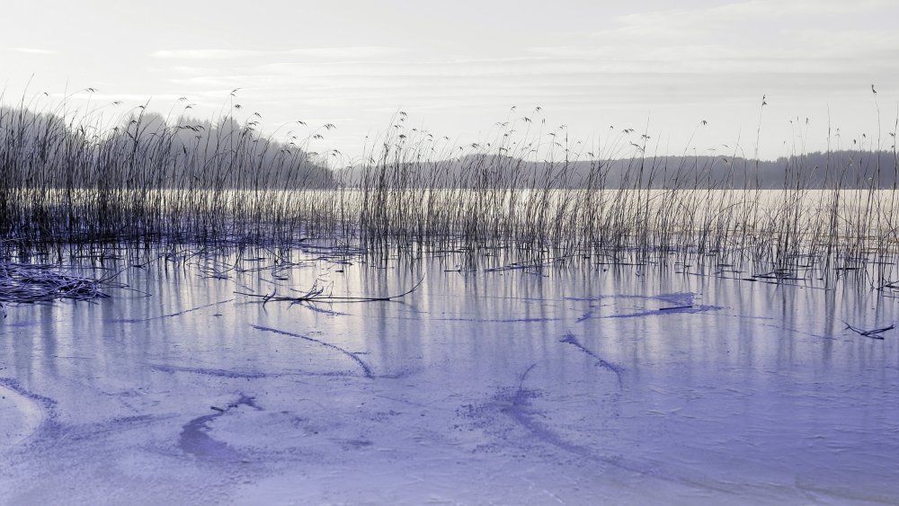 Картина замерзшее озеро