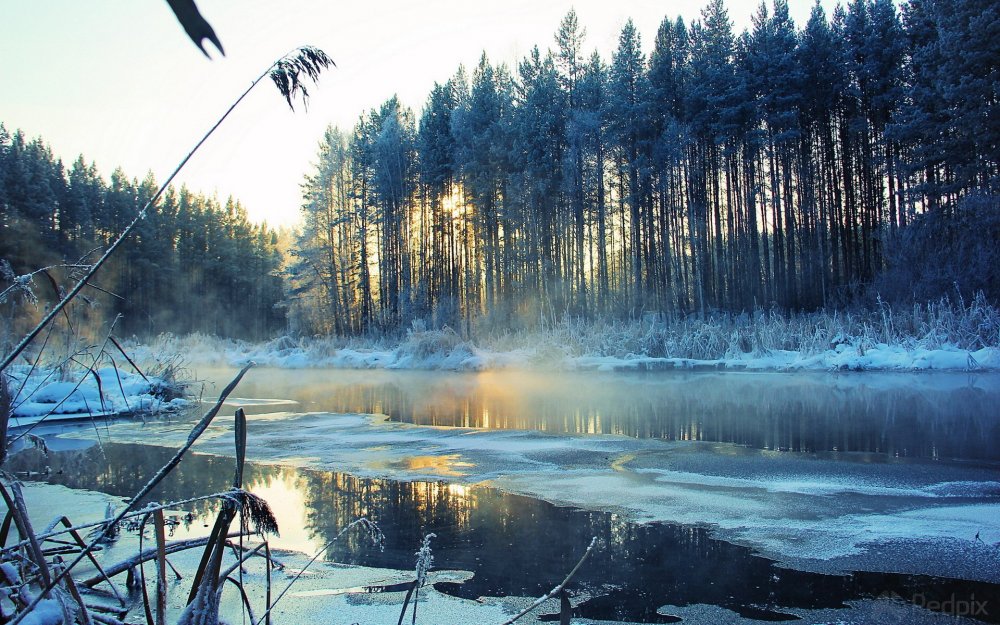 Зимнее озеро в лесу