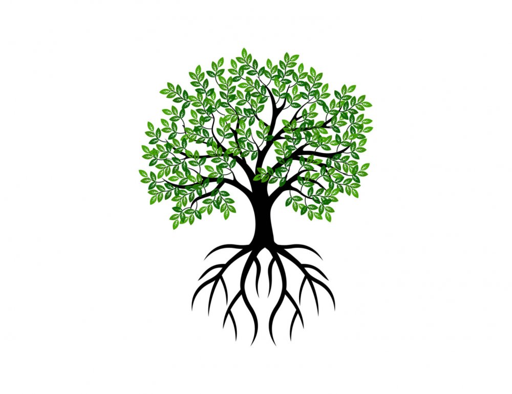 Символ дерева с корнями и деревом