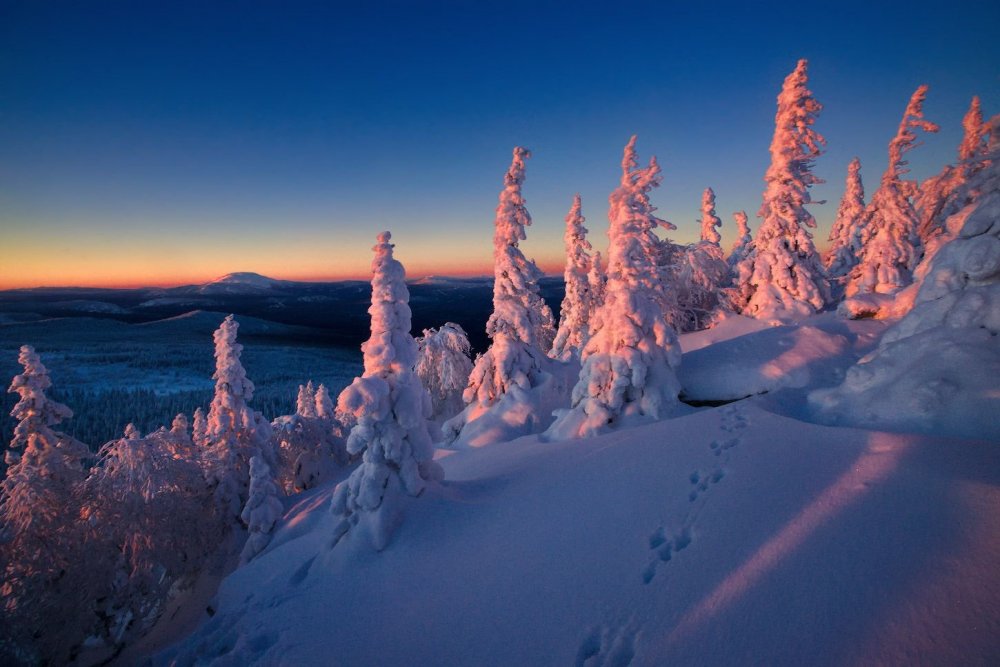 Природа Северного Урала зимой