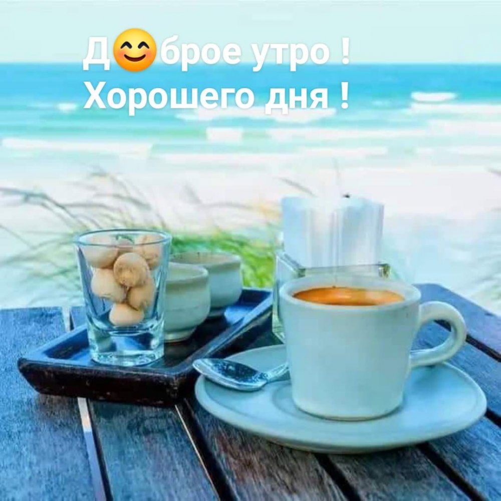 Чашка чая на берегу моря