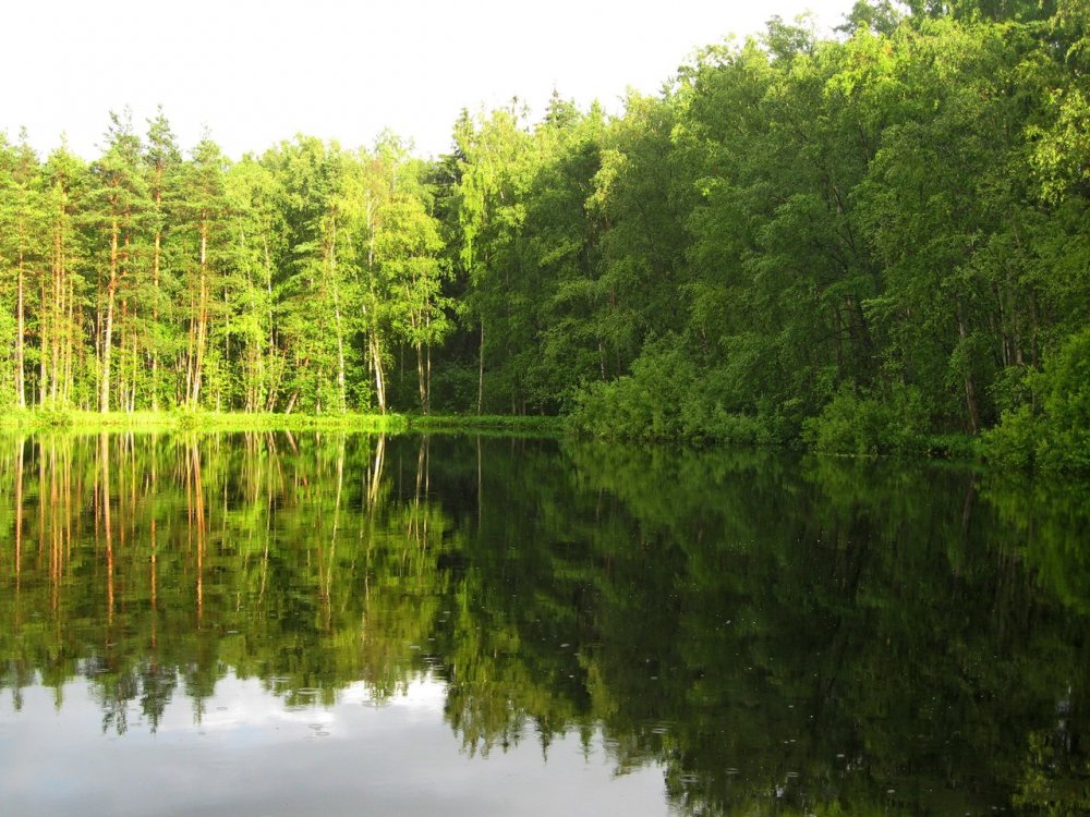 Лесное озеро Сахалинская область