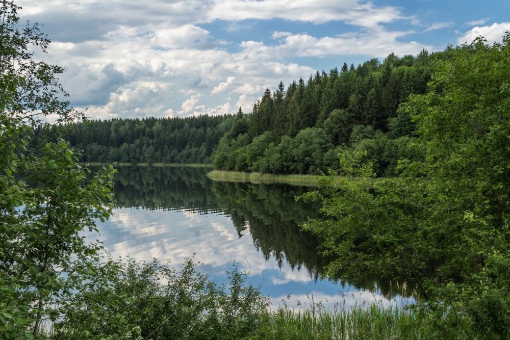 Озеро Лесное Татарстан