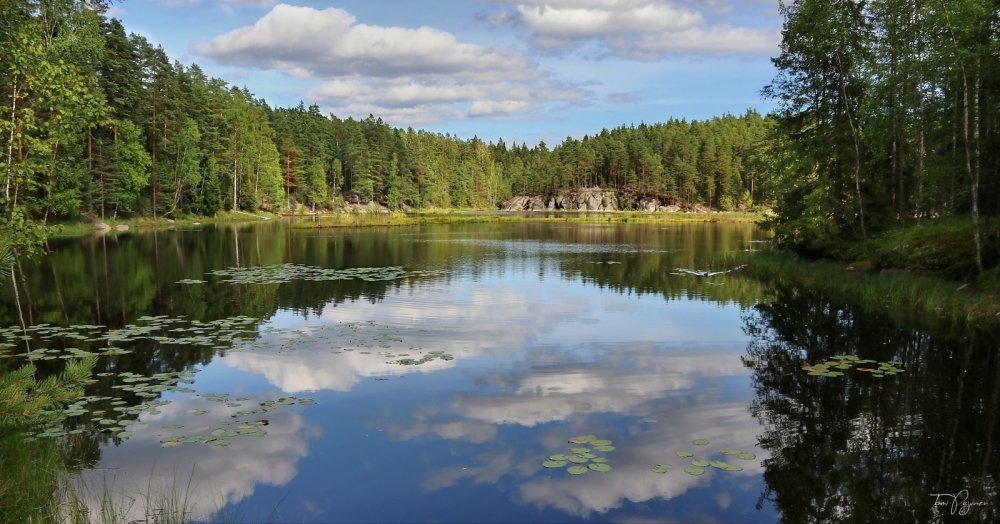 Озеро проточное Ленинградская область