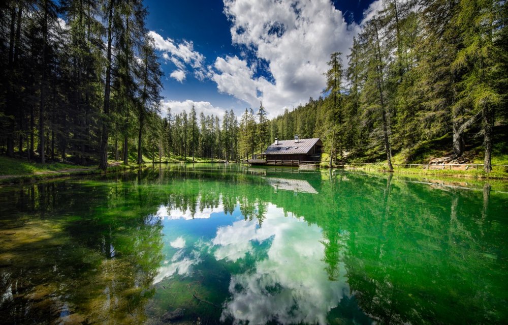 Природа лес озеро