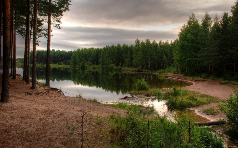 Озеро в Сосновом Бору Ленинградская область
