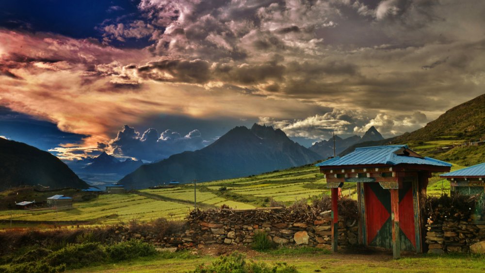 Тибет Непал яки природа