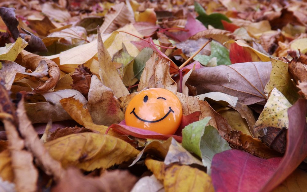 Осенняя улыбка