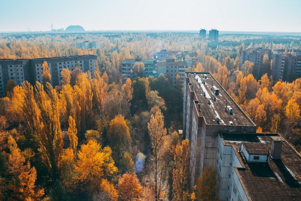 Рыжий лес Чернобыль