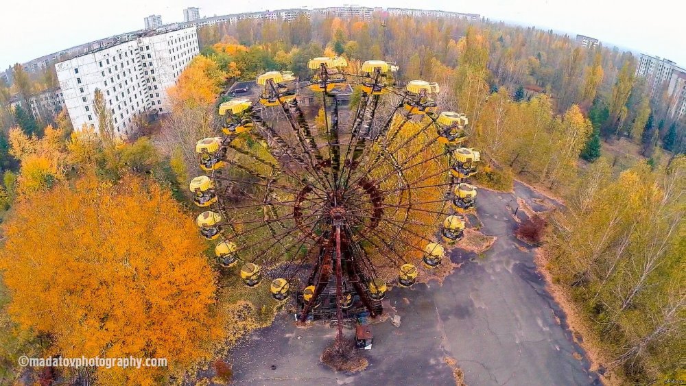 Зона отчуждения Чернобыль рыжий лес