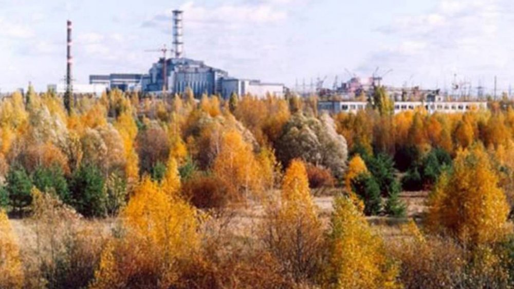 Чернобыль Россия